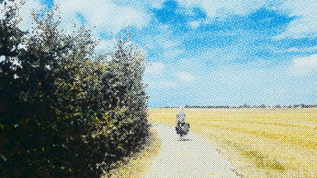 Cyclist riding through an open landscape